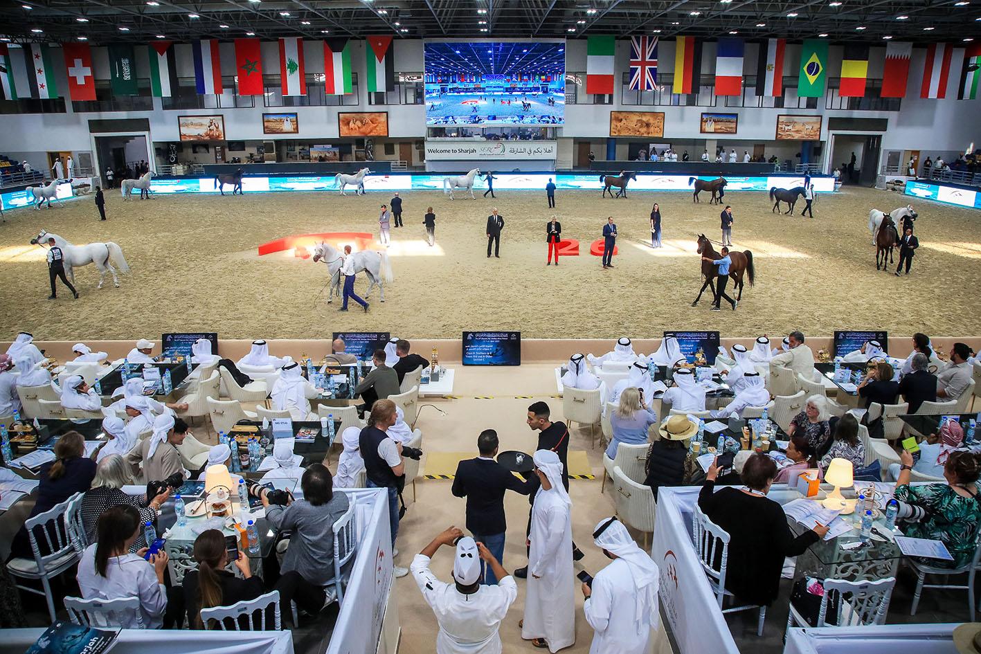 Spectacular Finale for the 26th Sharjah Arabian Horse Festival