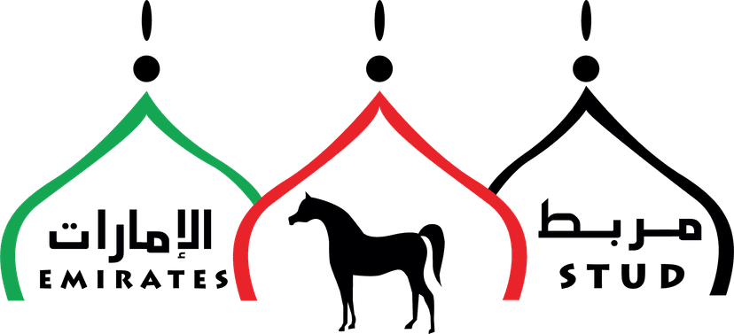 Another image description