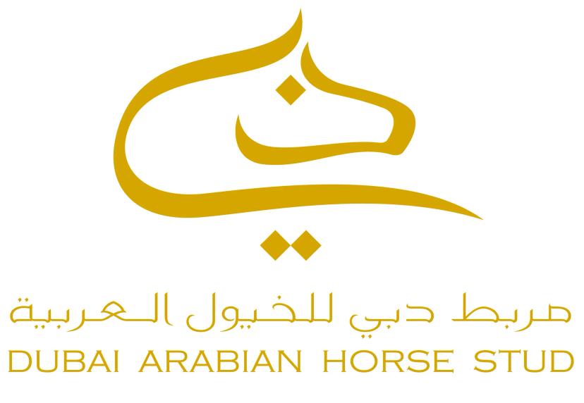 Another image description