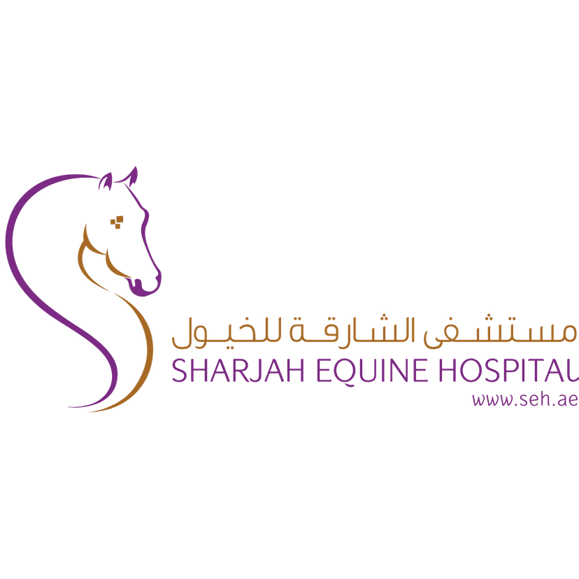 Another image description